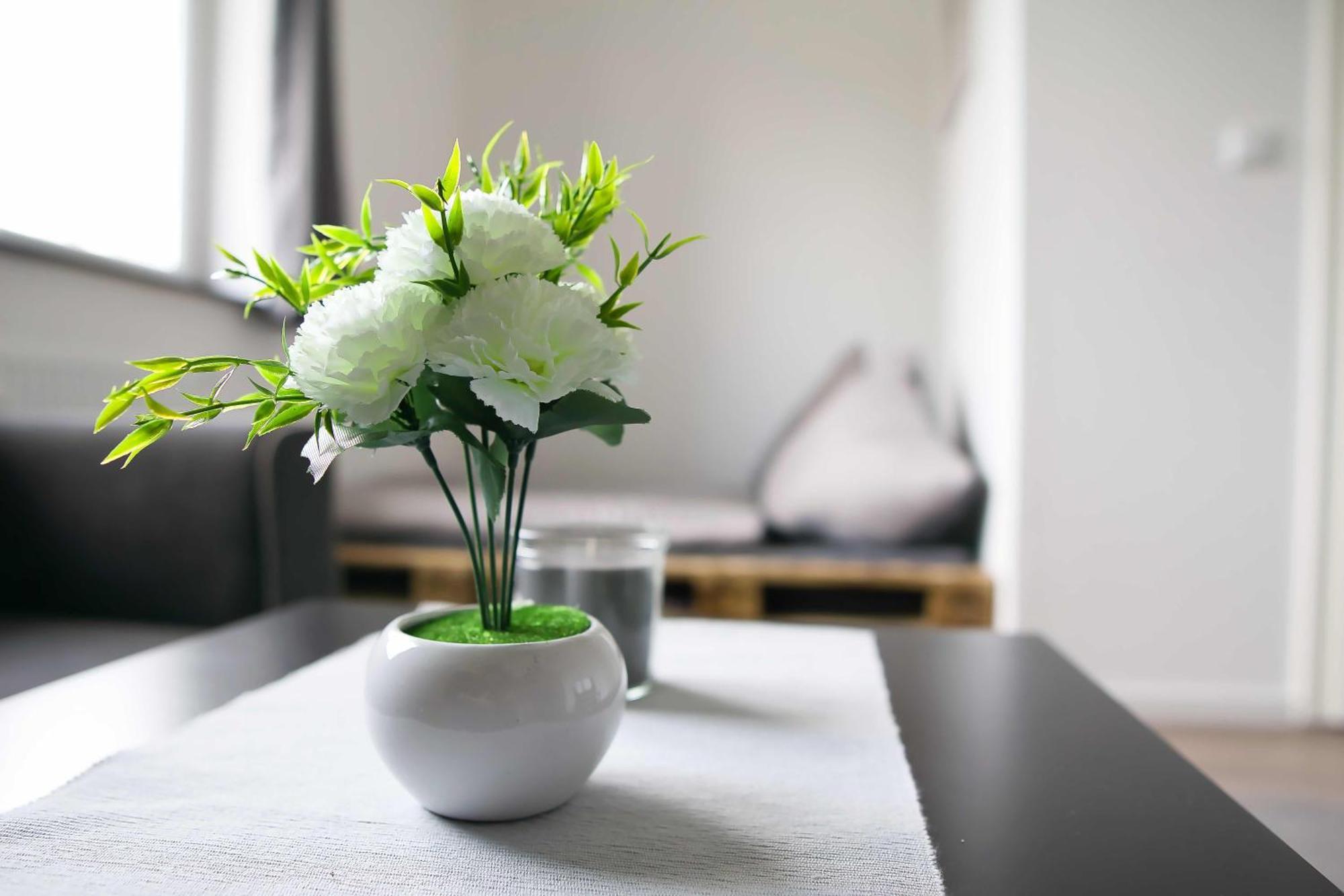 Heide Ferienwohnung Nord Schneverdingen Kültér fotó